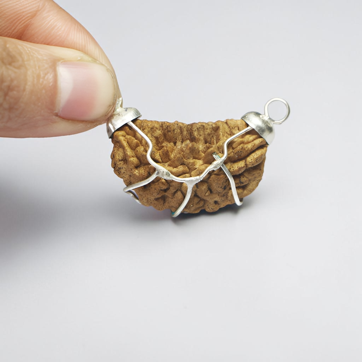 1 MUKHI RUDRAKSHA (SMALL) - INDIAN BEAD