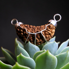 1 MUKHI RUDRAKSHA (MEDIUM) - INDIAN BEAD