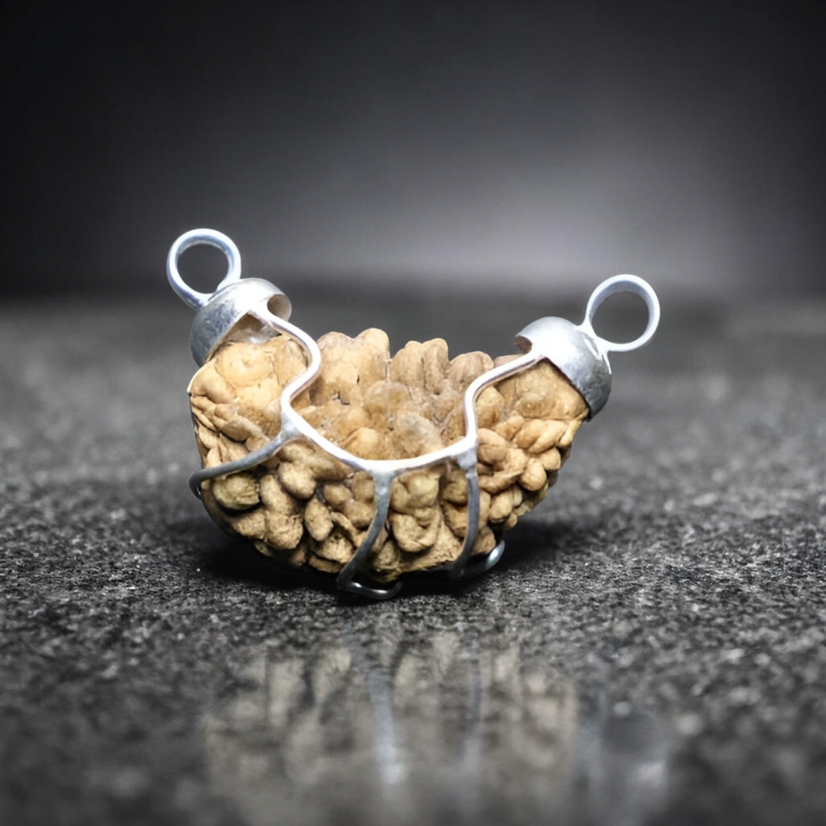 1 MUKHI RUDRAKSHA (BIG) - INDIAN BEAD