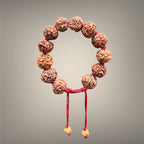 7 Mukhi Rudraksha Bracelet with 12 Genuine Nepali Beads - Government Lab Certified | Sanklp