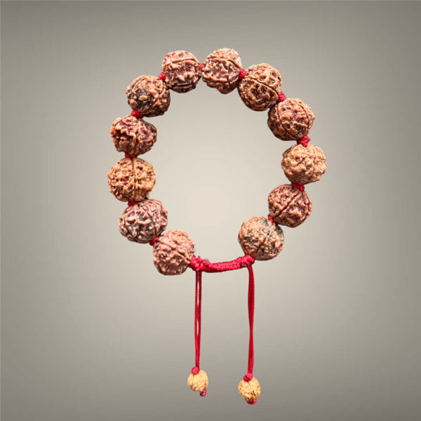 7 Mukhi Rudraksha Bracelet with 12 Genuine Nepali Beads - Government Lab Certified | Sanklp