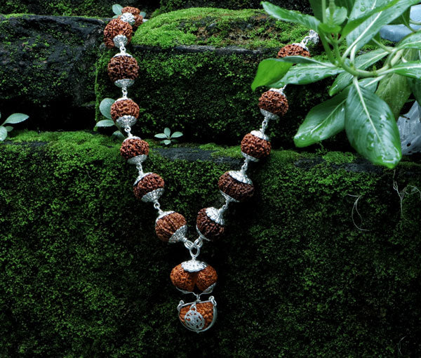 1 - 14 Mukhi Rudraksha Mala combination - Nepali