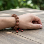7 Mukhi Rudraksha Bracelet with 12 Genuine Nepali Beads - Government Lab Certified | Sanklp
