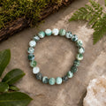 "Premium natural Tree Agate Stone Bracelet with polished gemstone beads, crafted for elegance, beauty, and positive energy."