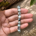 "Premium natural Tree Agate Stone Bracelet with polished gemstone beads, crafted for elegance, beauty, and positive energy."